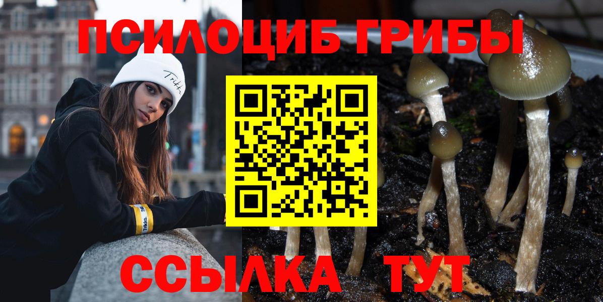 Псилоцибиновые грибы Psilocybe  Вход с VPN  Псилоцибиновые грибы мицелий  Еманжелинск 